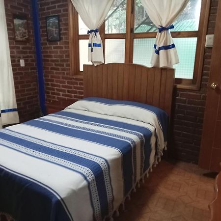 Coyoacan Departamento Tipo Colonial Ciudad de México Exteriér fotografie