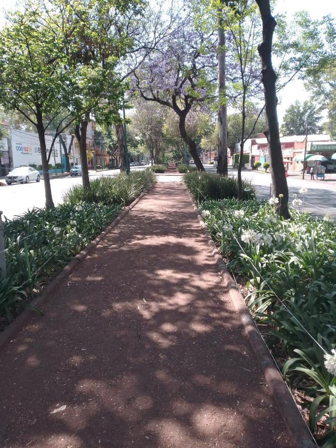 Coyoacan Departamento Tipo Colonial Ciudad de México Exteriér fotografie